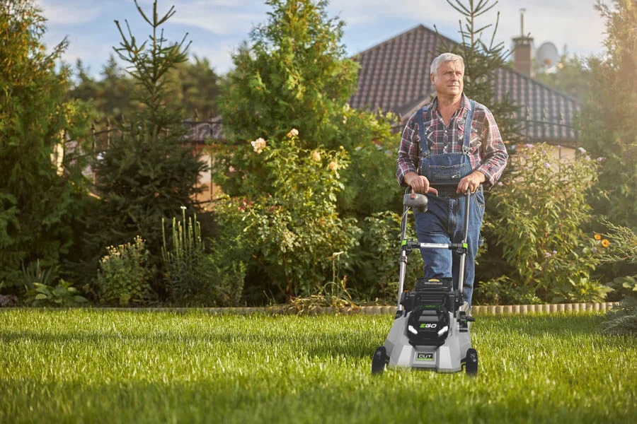 self propelled lawn mower top rated